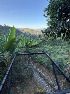 Glamping Mountain Coffee - 1