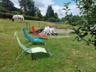 Mamie House - Muhlbach-sur-Bruche - 6