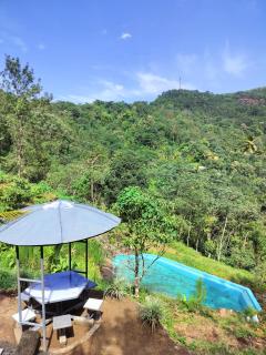 Pepper Glen Powathu Panchalimedu - Idukki - 8