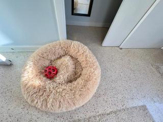 Relaxing 2BR Oasis in West Palm Beach, FL - Riviera Beach - 7