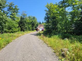 Le refuge aux coquelicots - Notre-Dame-Des-Bois - 9