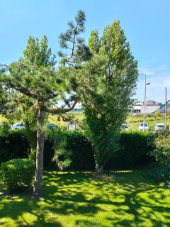 Calme et Cosy, T2 refait à neuf en Juillet 2025 - 1