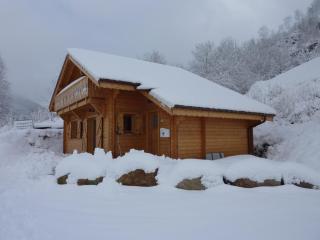 Les Noisettes - La Bresse - 9