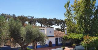 Monte Horta da Velhinha - Redondo - 1