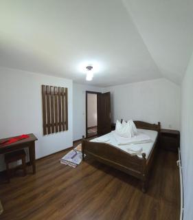 Casa Bogdan - Bubesti - 7