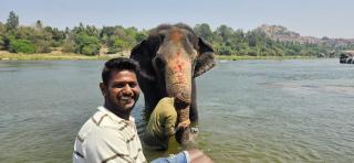 TEMPLE VIEW GUEST HOUSE - Hampi - 6
