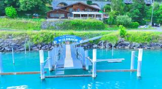Hotel Wildbach Brienz - Brienz - 0