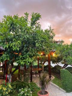 Hotel Kaceli - 2