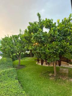 Hotel Kaceli - Berat - 4