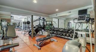 Cozy 1BR Apt - Galleria Area Free Parking - Houston - 1