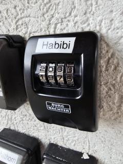 Habibi Apartment - Aare Jungfrau AG - Wilderswil - 9