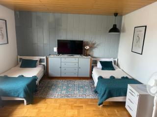 Emi's Guesthouse A2 - Waldshut-Tiengen - 4