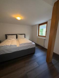 Design-Apartment im Zentrum von Scheidegg - Scheidegg - 9