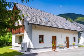 Apartments Zlati Rog - Kranjska Gora - 9