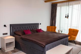 Apartmány VÍNO HRUŠKA Pardubice - Pardubice - 2