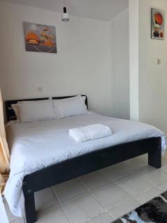 Cozy Condo with Gym and Pool - 5