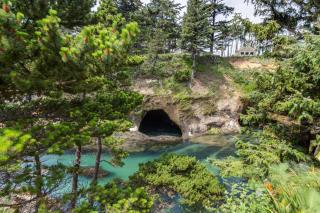 A Whale's Walk - Mariner 2 - 7