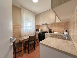 Vila Nika - Gornji Milanovac - 8