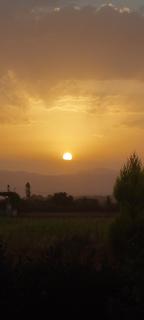Rustic Tale Guesthouse - Tale - 9