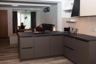 Apartmány VÍNO HRUŠKA Pardubice - Pardubice - 7