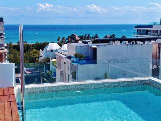 Rooftop ocean view Apt beach 2 blocks away - 9