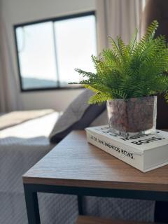 Apartamentos Novos com Charme no centro de Ibirama - Ibirama - 7