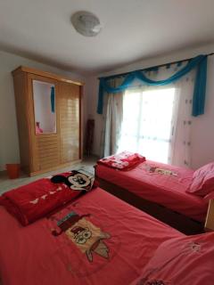 2 Room Apartment in CAIRO - 5