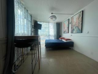PENTHOUSE SEASIDE 10 MIN port, croisière et aéroport - Pointe-à-Pitre - 9