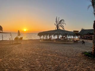 Live the bedouinlife - Nuweiba - 6