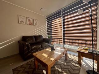 Apartamento Santiago, Cama extra Grande, Lavandería, Wifi, Piscina - Santiago - 1
