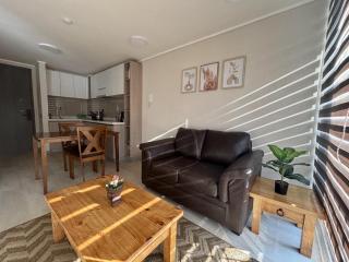 Apartamento Santiago, Cama extra Grande, Lavandería, Wifi, Piscina - Santiago - 0