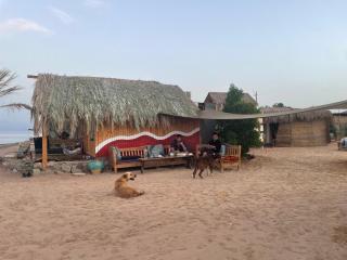 Live the bedouinlife - Nuweiba - 8