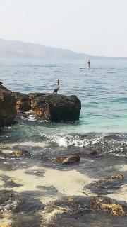 VANA APARTMENTt - Sarandë - 9