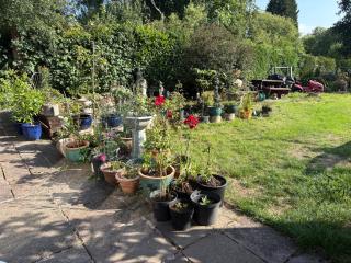 Studio Lickey Hills Near Attractions Garden Pet Ok - Birmingham - 9