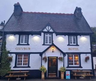 Y Gwydyr Hotel - Dolwyddelan - Dolwyddelan - 5
