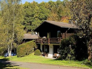 Chalet in Germany with Fireplace & Terrace - Schönecken - 0