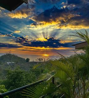Pura Natura Lodge Manuel Antonio - 7