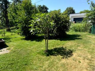 Ruheoase am Bach in Lafnitz - - 5