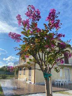 Casa per Vacanze - Marina di Massa - 8