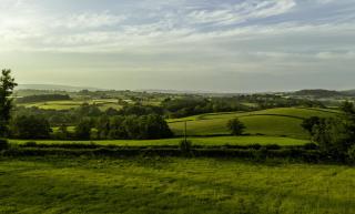 Wye Cottage - Builth Wells - 9