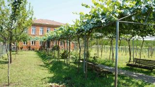 Villa Obcha - Whispering Vines Guesthouse - 3