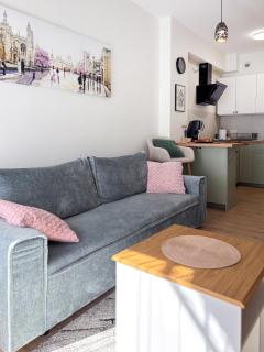 Apartament Mona Jeżyce - Poznań - 3