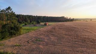 Nocleg na skraju puszczy - - 7