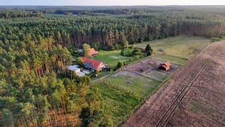 Nocleg na skraju puszczy - - 6