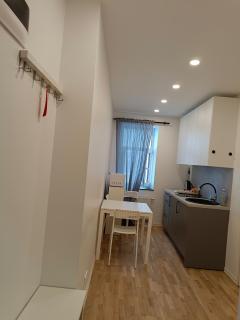 New Gray apartment in the center of Riga - 9