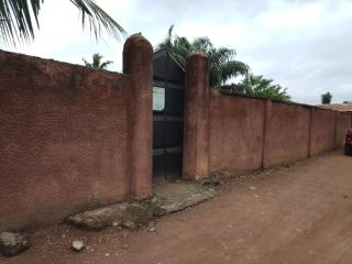 Quiet peaceful House - Dawhwenya - 1