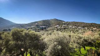 Variea Vista - Mytilene - 8