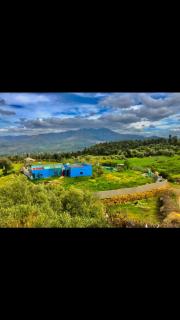 Lejite Maoezguer - Derdara - 8