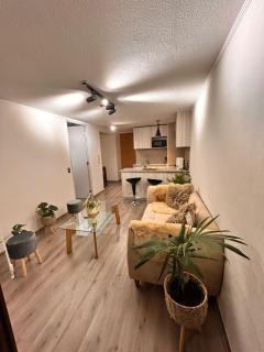 Departamento cómodo ideal para viajeros - Santiago - 7