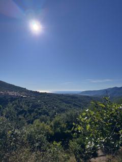 La Casa negli Ulivi - con vista Mare - 9